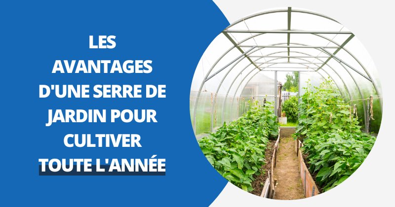 Les Avantages d'une Serre de Jardin pour Cultiver Toute l'Année | Housse Moderne