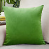 Housse de Coussin Velours 40x40cm Vert | Housse Moderne